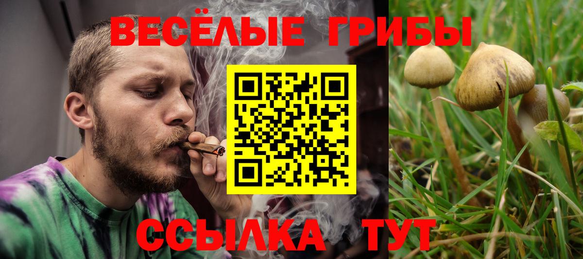 Псилоцибиновые грибы ЛСД Красноярск